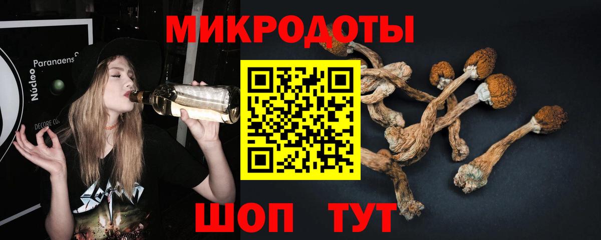 Сокол  что такое   Вход с VPN  Псилоцибиновые грибы мицелий 